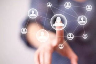 空中服务网节目信息汇总 2018年7月24日网络服务专题