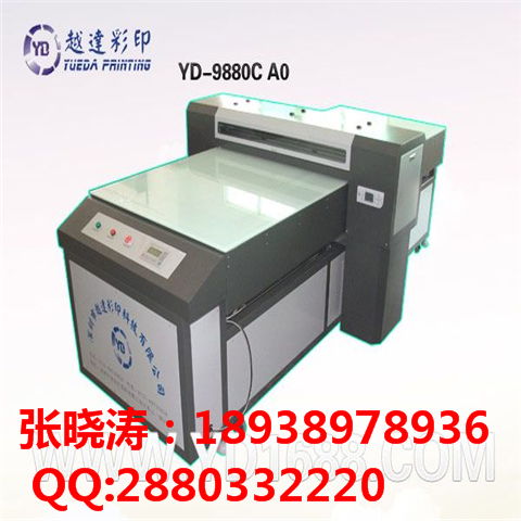 网络服务的多样性与未来展望